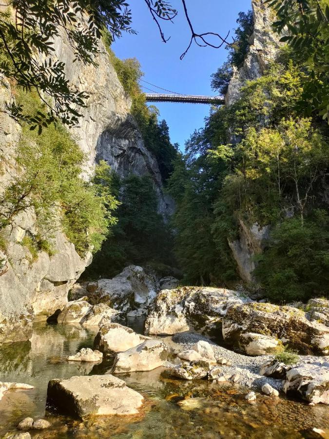Entre Lacs Et Montagnes Cusy Buitenkant foto
