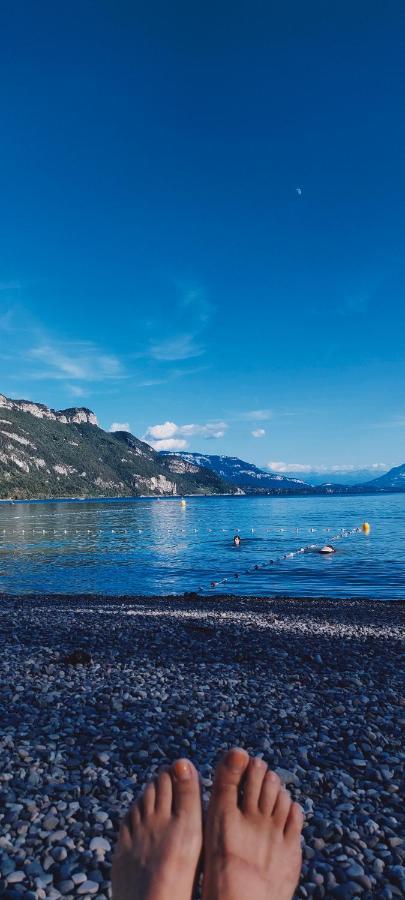 Entre Lacs Et Montagnes Cusy Buitenkant foto